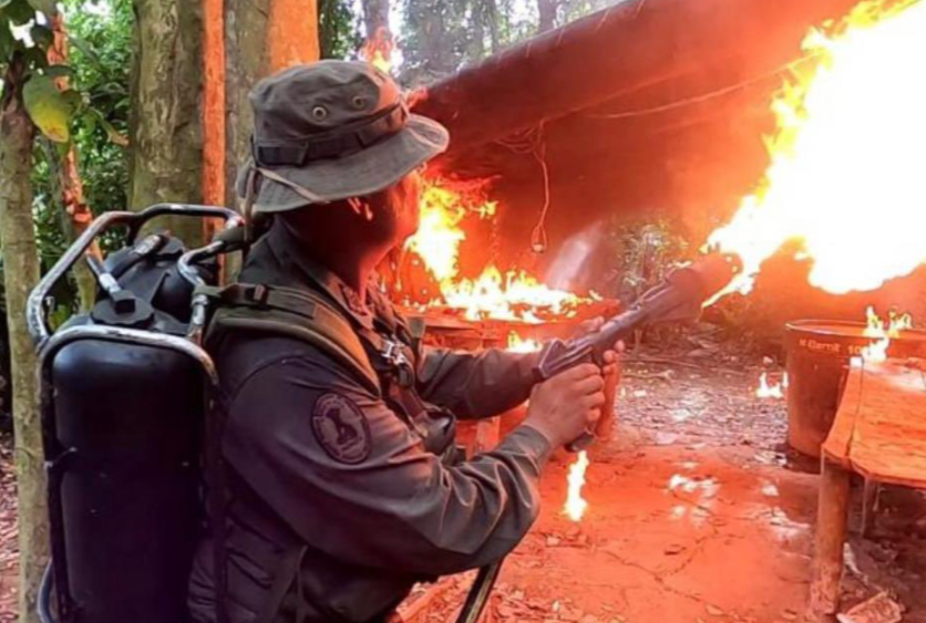 FANB destruyó 61 laboratorios e inhabilitó 41 aeronaves en 2022