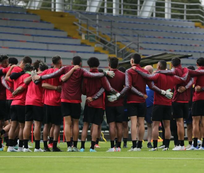 Vinotinto Brasil hexagonal