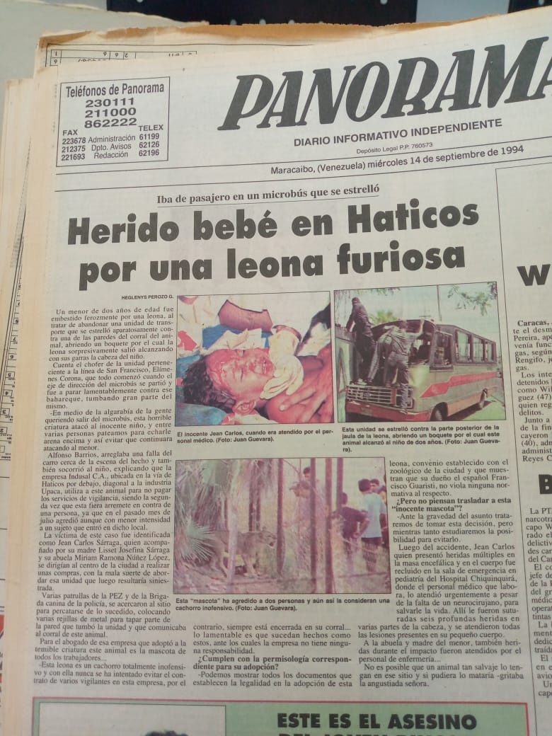 La tarde cuando la leona de Los Haticos mordió al niño del microbus que se estrelló