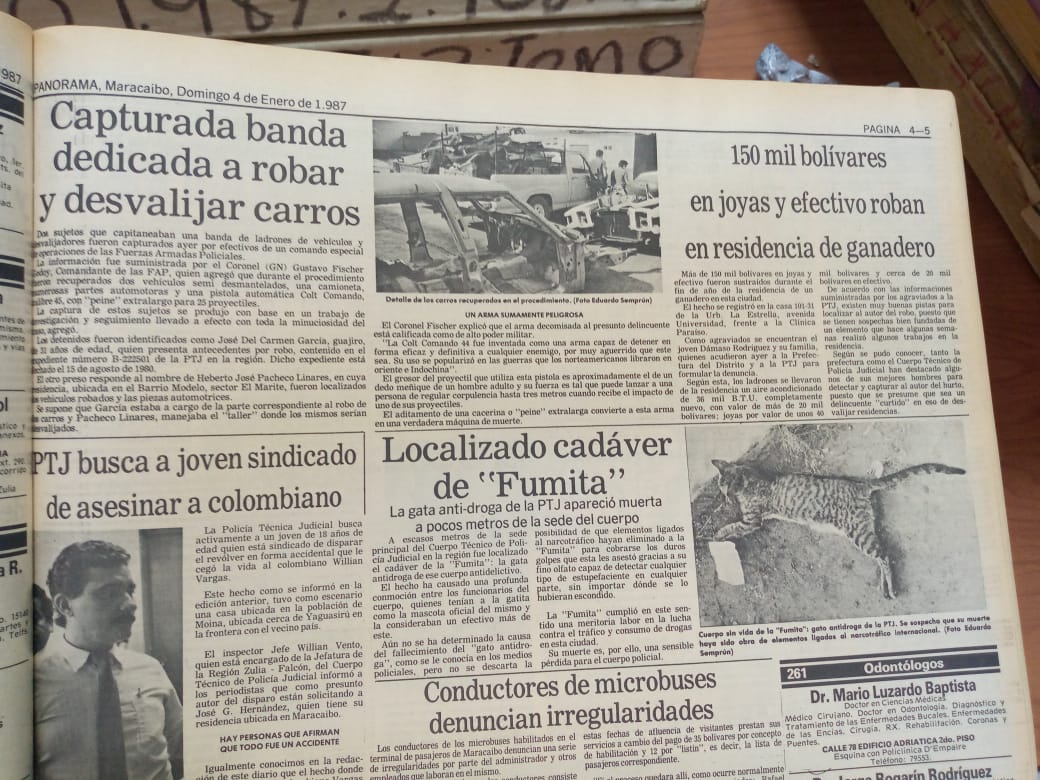 Retro-Nad: La muerte de Fumita la única gata antidrogas del mundo