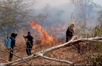 Voraz incendio se registró en zona rural de Mene Mauroa y las llamas alcanzaron algunas fincas del Zulia