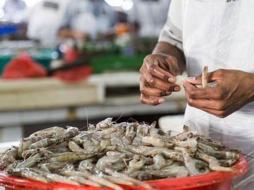 Venezuela ocupa el décimo lugar en exportación de camarones a nivel mundial: Falcón y Zulia son las principales regiones de cultivo