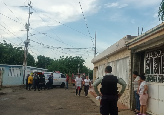 El ataque de las abejas africanas dejó a una abuela de 71 años en estado crítico: Tenía más de 400 picadas