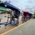 Transporte popular: 1.500 