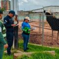 Venezuela rescata a más de mil animales silvestres que estaban en cautiverio