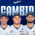 Magallanes y Tigres concretan intercambio de ocho jugadores para la próxima temporada de la LVBP