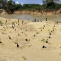 Venezuela anuncia plan de reforestación en zona protegida afectada por las lluvias