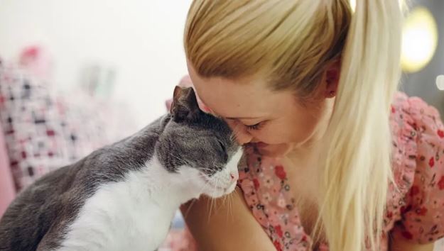 Sabía que en Venezuela aplican las Intervenciones Asistidas por Animales con perros y gatos: Ayudan al bienestar emocional y al desarrollo personal del paciente