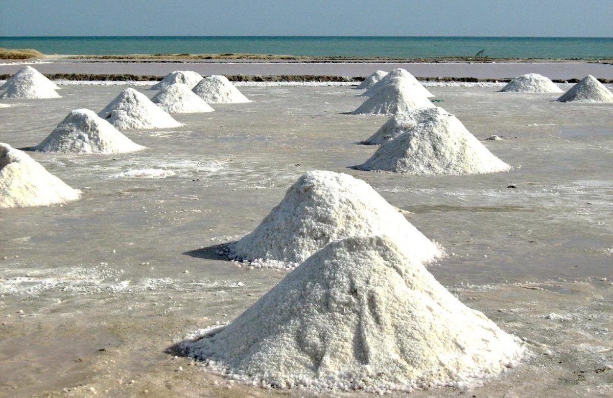 Buscan la exportación de la sal hacia el mercado colombiano