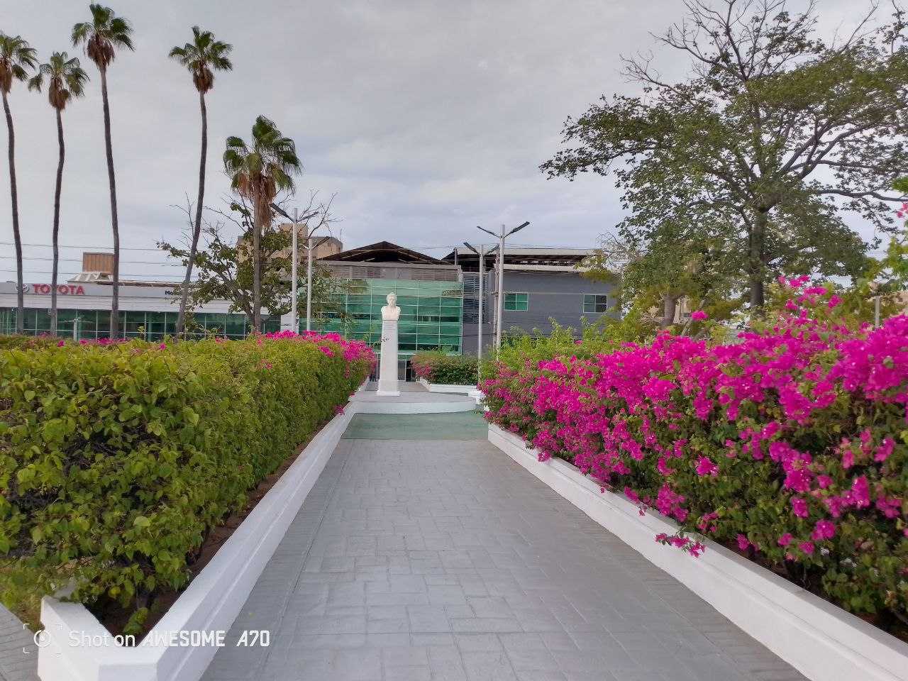 Una vueltita por la plaza Reina Guillermina