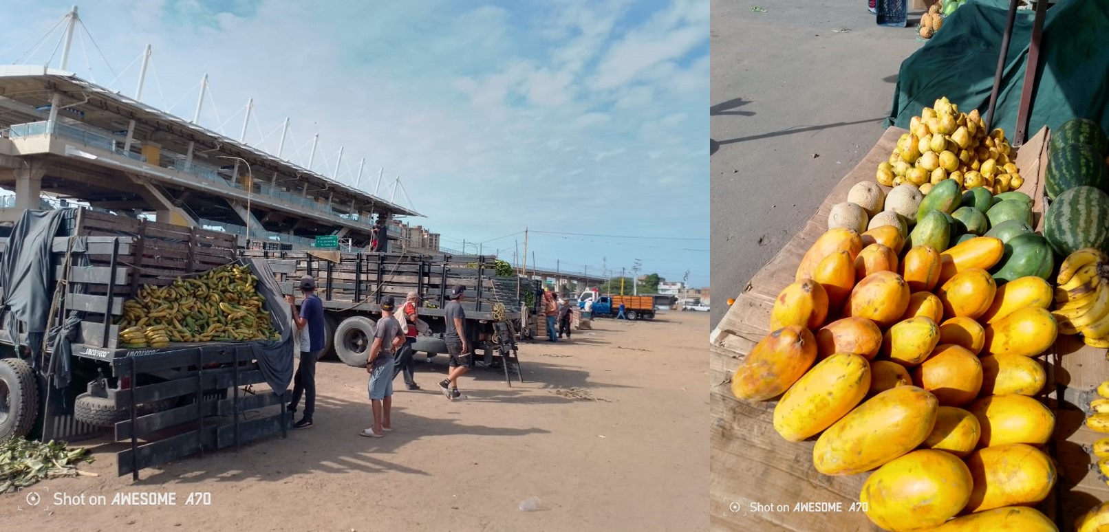 Y aquí el PLÁTANO es el rey