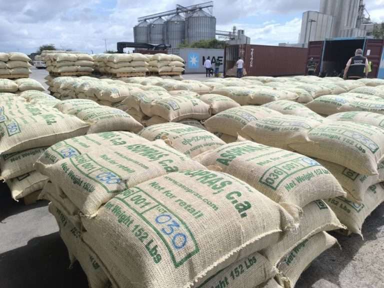 Exportan 30 contenedores con café venezolano hacia EEUU