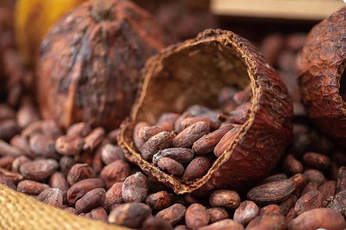 Ejecutivo nacional dio luz verde para introducir el chocolate venezolano al mercado internacional