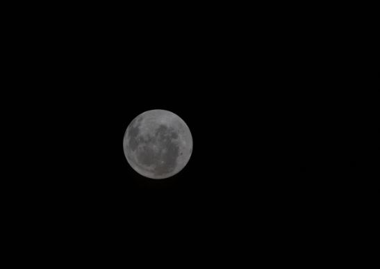 Hoy entramos en un abril histórico: El hombre está a pasos de darle un beso a la Luna