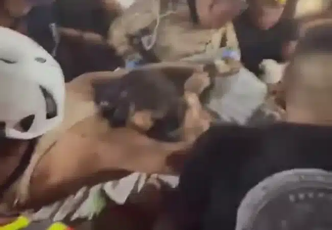 Equipos salvadoreños salvan la vida de una mujer tras siete horas bajo los escombros: ¡Hemos rescatado a Nayarit!