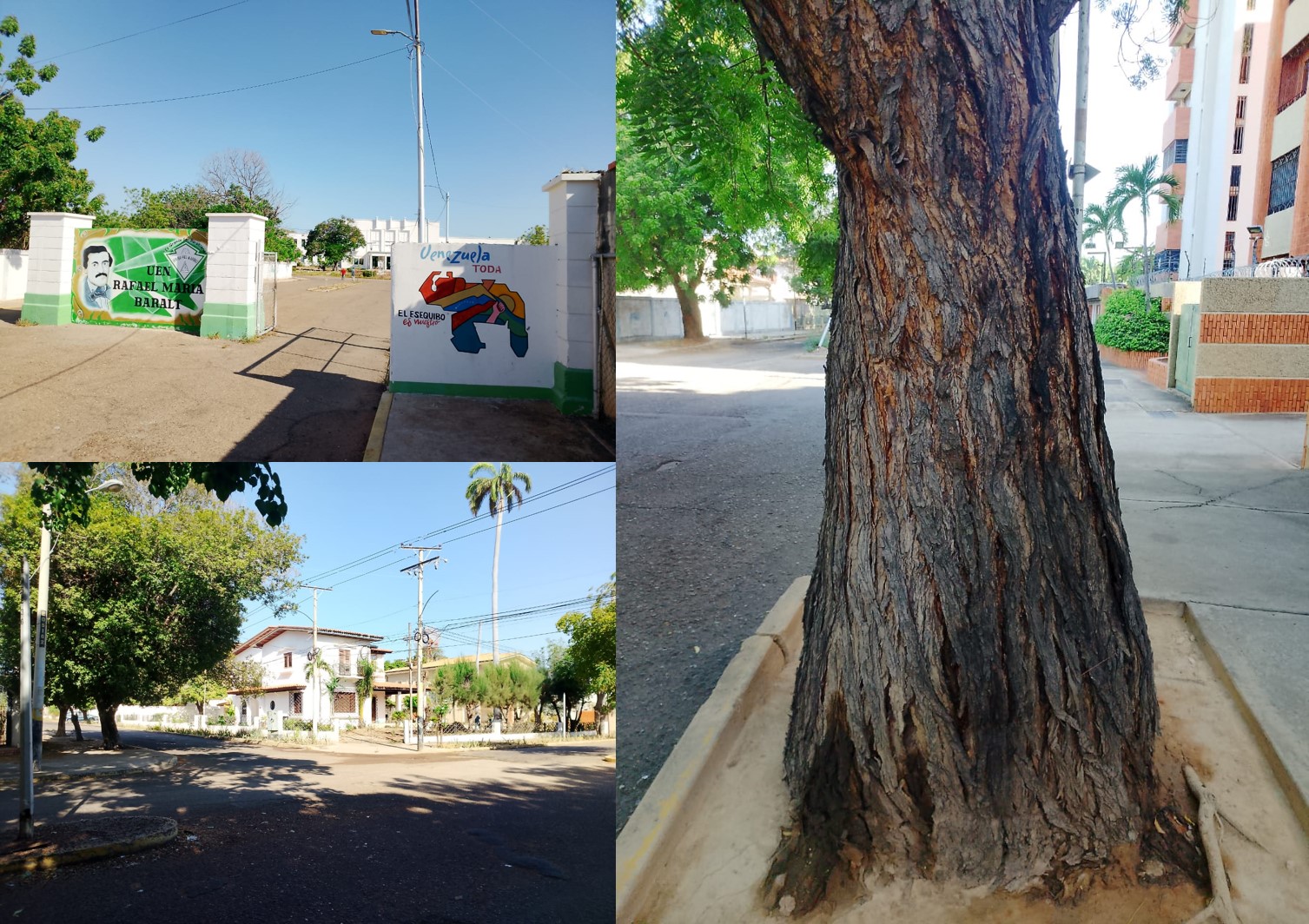 El único liceo de Maracaibo que tiene una avenida para él solito: Baralt