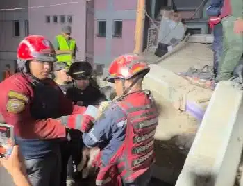 El conmovedor rescate de un perrito en Pinto Salinas que se volvió viral en redes sociales
