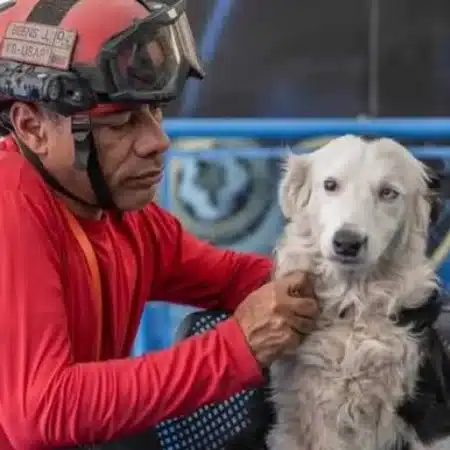 Jorge Beens, guía de Tsunami, aclara la cifra real de rescates del perro héroe