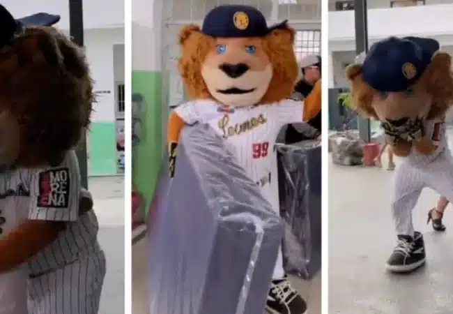 Solidaridad en tiempos difíciles: Leones del Caracas se une a artistas para apoyar a damnificados