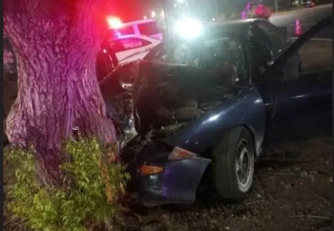 Conductor pierde la vida tras impactar contra un árbol en la Circunvalación 1