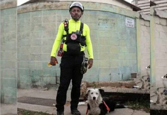 Salvó más de 20 vidas tras el sismo y ahora se quedó sin hogar: La dura realidad del guía Jorge Beens y su perro rescatista Tsunami