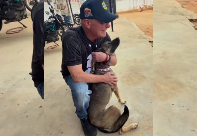 Alcalde Di Martino anunció incorporación canina de ‘Kira’ para apoyar labores de Polimaracaibo y Bomberos