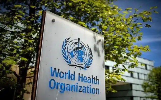 Organización Mundial de la Salud informa que aumenta riesgo de brote de enfermedades tras terremotos