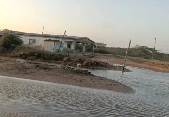 Comisiones técnicas y de salud se despliegan en la Guajira tras atípico avance de aguas marinas hacia zonas pobladas