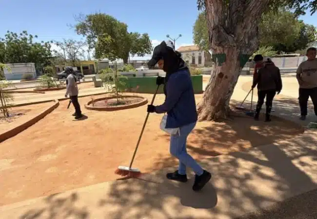 Alcaldía de San Francisco despliega intensivas labores de mantenimiento preventivo en 15 parques y plazas del municipio